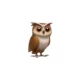 Logo Tutor AI