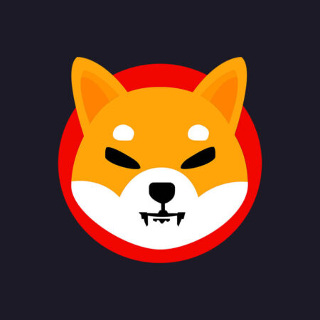Investir dans Shiba Inu : le SHIB est-il un bon investissement ?